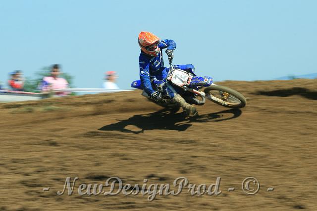 IMG_28714.JPG