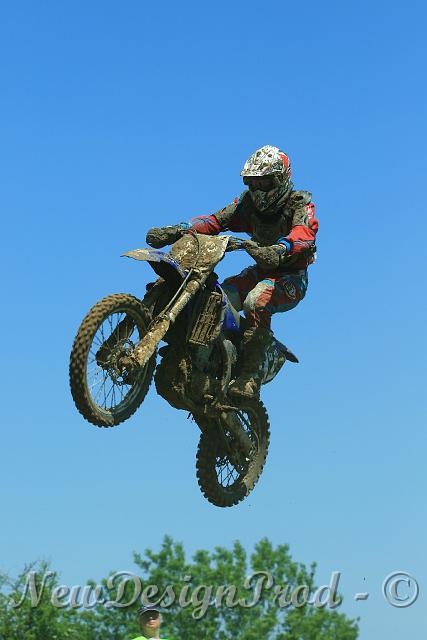 IMG_29031.JPG