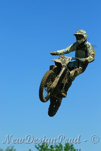 IMG_29033.JPG