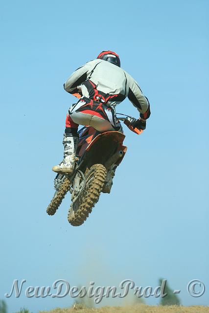 IMG_29208.JPG