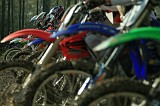 IMG_24131