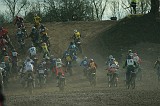 IMG_24137