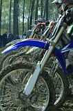 IMG_24585